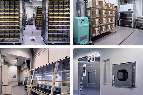 西安凈化SPF級(jí)實(shí)驗(yàn)動(dòng)物房建設(shè)廠家